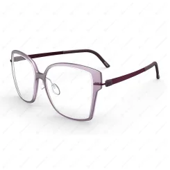 SILHOUETTE 1611 4040 Infinity View