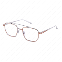 LEISURE SOCIETY Prism 12K White Gold / 18K Rose Gold
