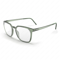 SILHOUETTE 2980 Clear Sky в Санкт-Петербурге 