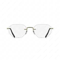 SILHOUETTE 5586 PA 8540 The Visionary SILHOUETTE 5586 PA 8540 The Visionary