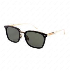 LEISURE SOCIETY Arroyo Sun Matte Black / 18K Gold (Green Lens)