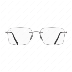 SILHOUETTE 5593 PZ 6660 The Refined