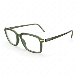 SILHOUETTE 2975 Vibrant Horizon в Санкт-Петербурге 