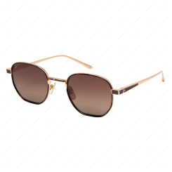 LEISURE SOCIETY Bouzy 18K Gold / Tortoise (Brown Gradient Lens)