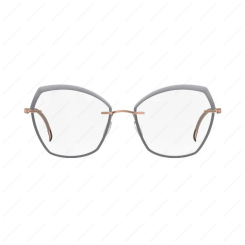 SILHOUETTE L003 4020 Contours Accentues