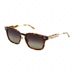LEISURE SOCIETY Garda Tortoise (Brown Gradient Lens)
