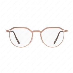 SILHOUETTE 5596 3530 Titanium Reframed SILHOUETTE 5596 3530 Titanium Reframed