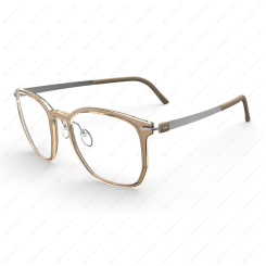 SILHOUETTE 2952 6060 Infinity View