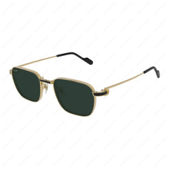 CARTIER CT0497S 008