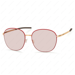 IC BERLIN Coho в Санкт-Петербурге 