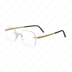 SILHOUETTE 5529 HB 7520 Momentum