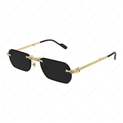 CARTIER CT0499S 001