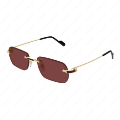 CARTIER CT0498S 002
