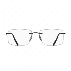 SILHOUETTE 5593 LC 9040 The Refined
