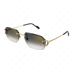 CARTIER CT0468S 001