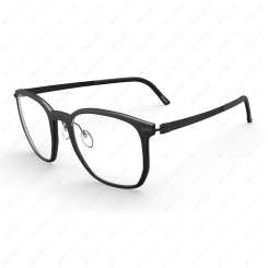 SILHOUETTE 2952 9040 Infinity View